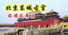嫩艹屄网站中国北京-东城古宫旅游风景区